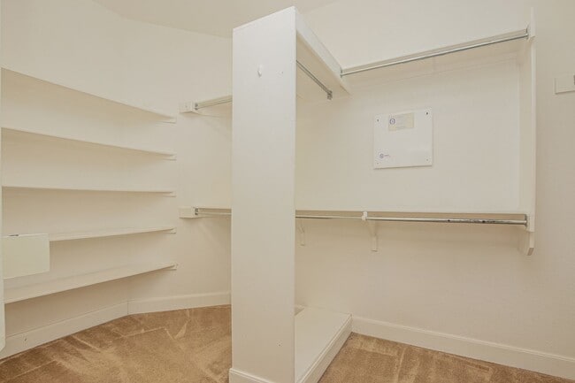 Building Photo - Immaculate Cedar Park home