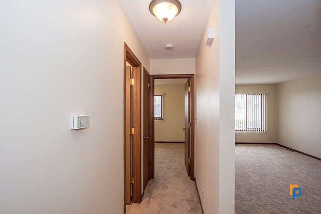 Building Photo - 3441 Portia St