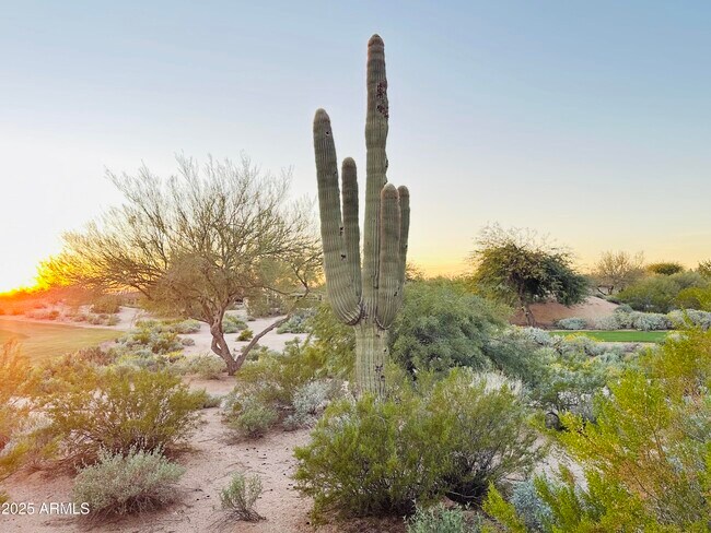 Building Photo - 19838 N 84th St