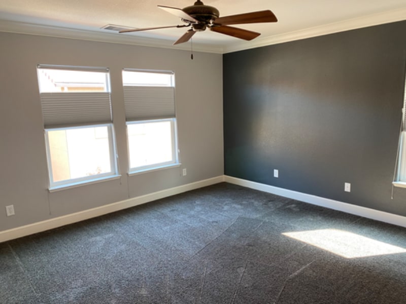 Building Photo - 1965 Black Sand Dr