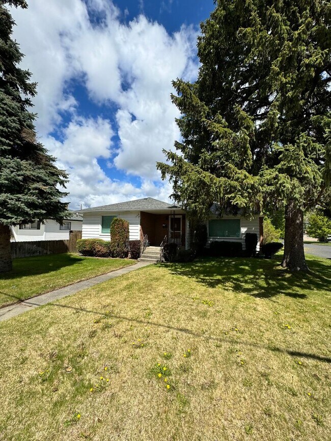 Primary Photo - South Hill Cozy 3 bed 2 bath