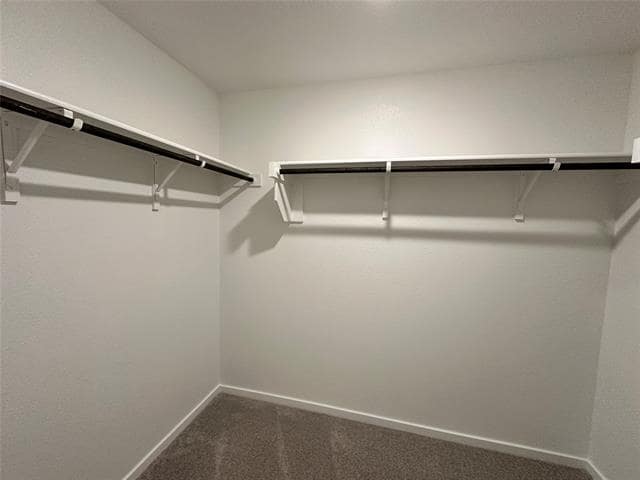 Building Photo - 1029 Calley Pear Trl