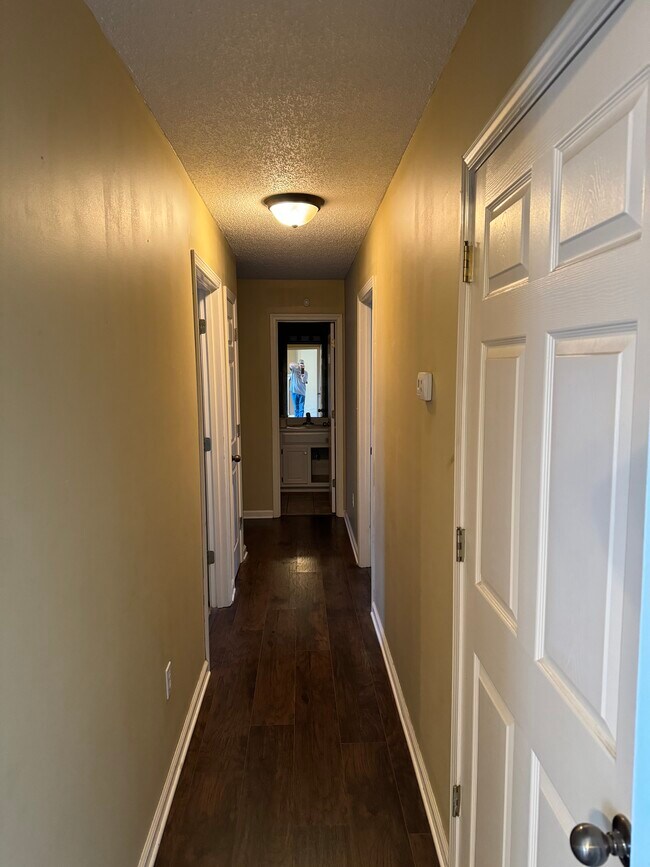 Hallway - 3550 Woodland Dr