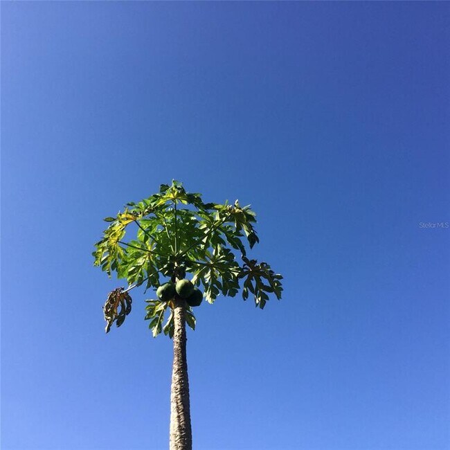 Building Photo - 9331 Southern Breeze Dr