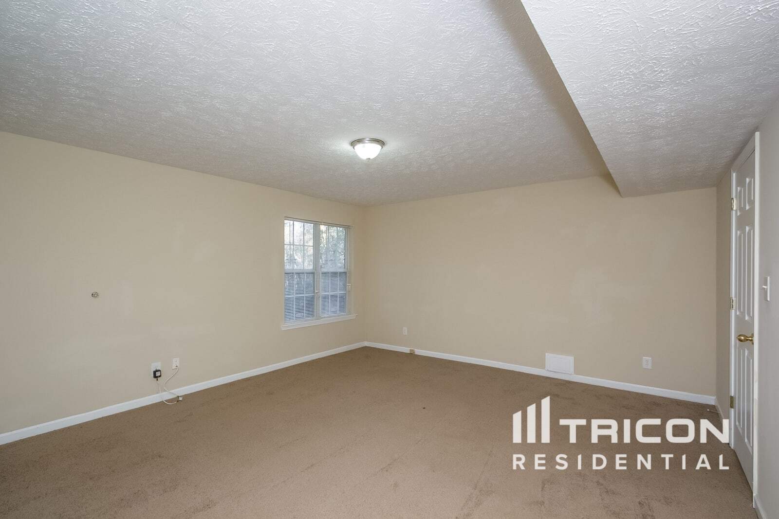 Building Photo - 1278 Lynx Ct