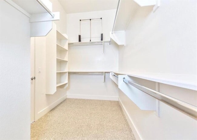 Building Photo - 4506 Night Owl Ln