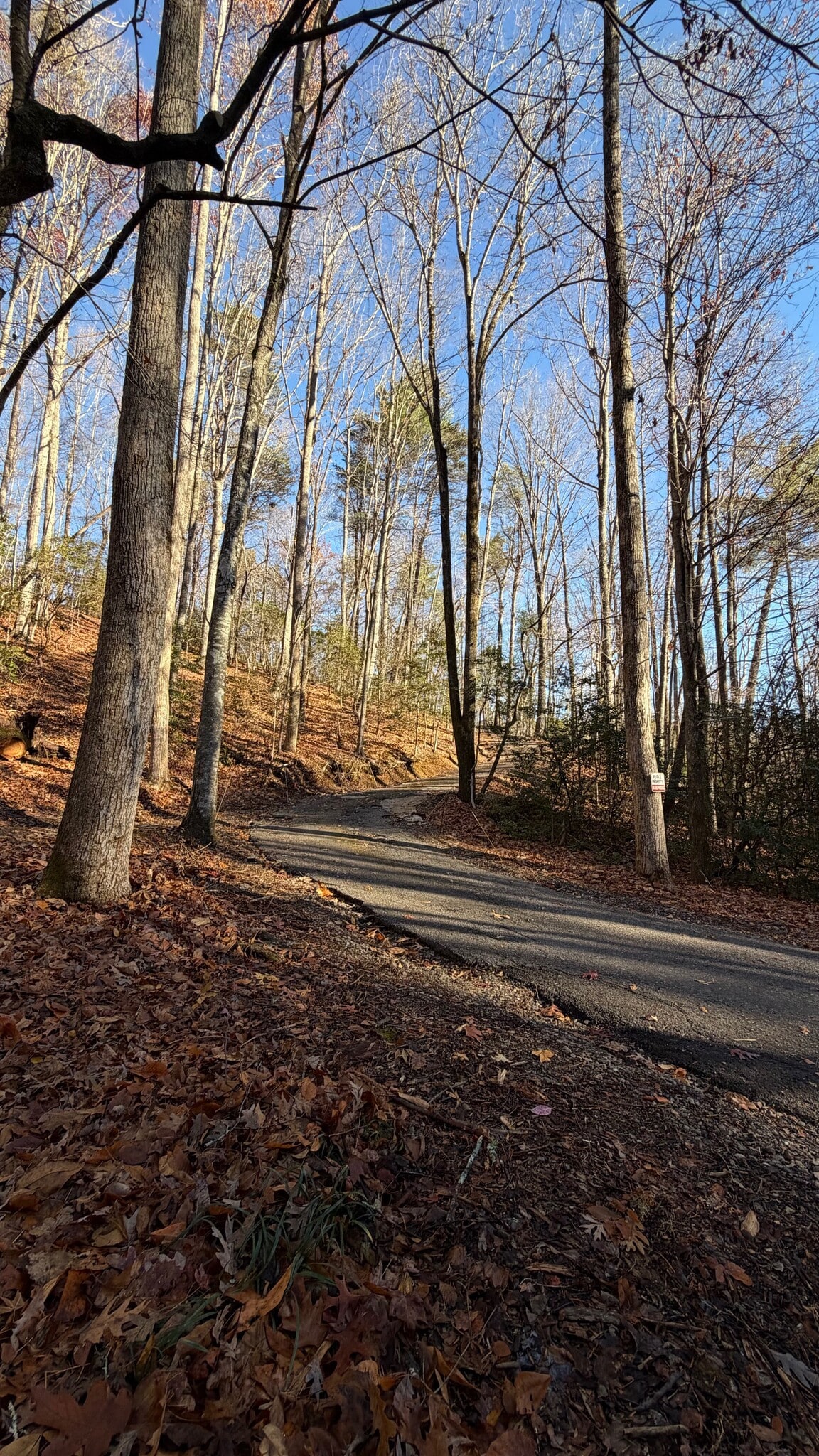 Building Photo - 56 Puff Hill Dr