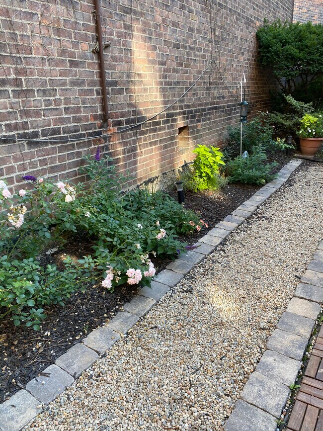 Beautiful Landscaping - 206 Lancaster St