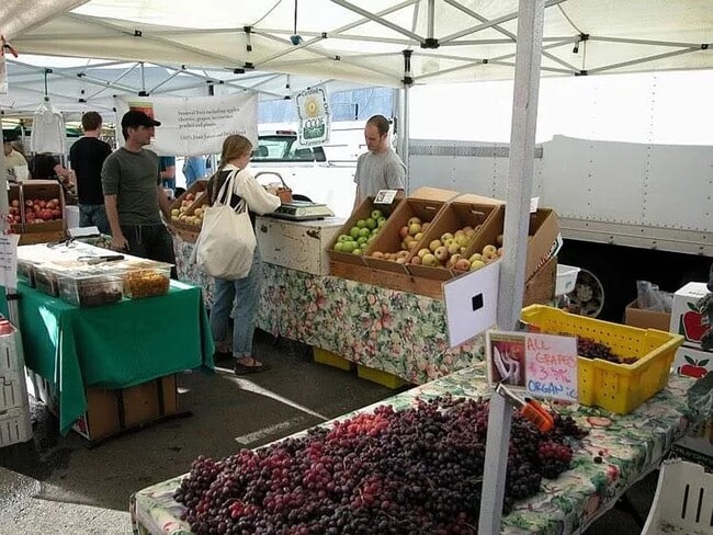 Building Photo - Stunning 3 BR | 2 BA in Noe Valley - Must See!