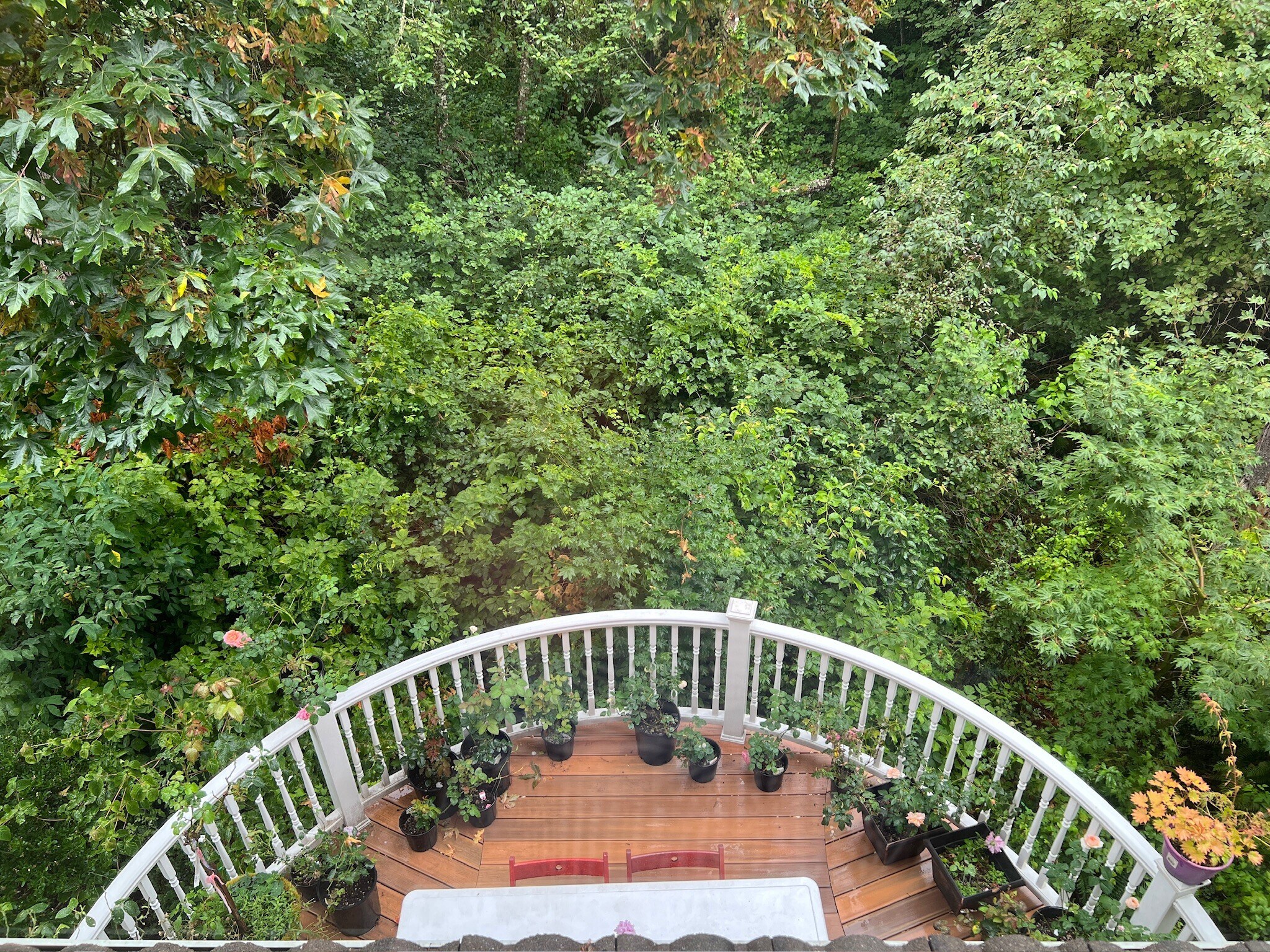 Building Photo - 12323 NE 102nd Ln