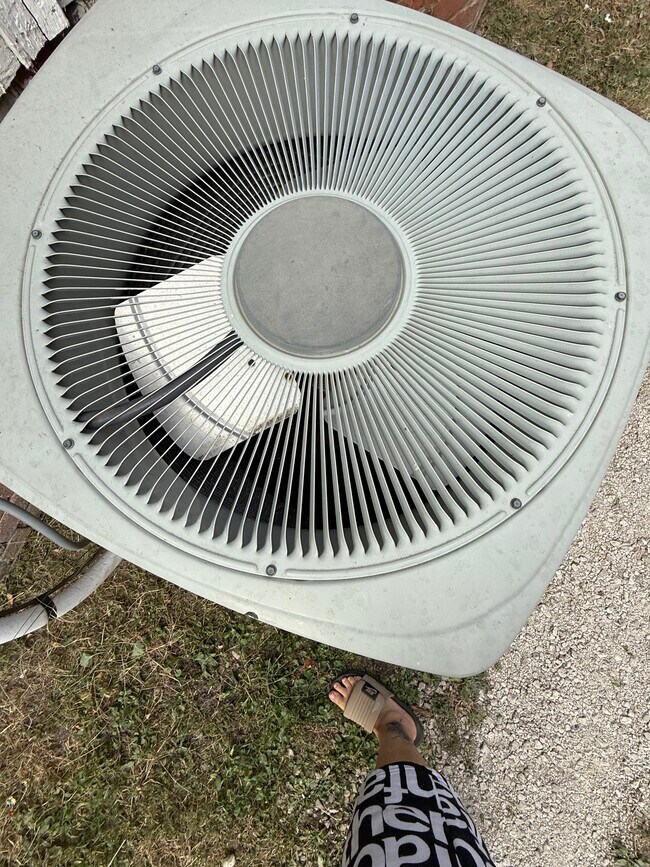 Building Photo - 1347 E Prairie Ave