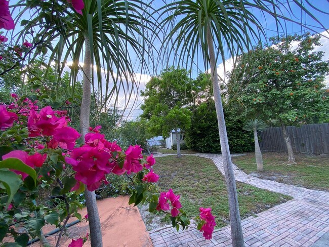Building Photo - 2/2 single family house with big yard near downtown and beach!