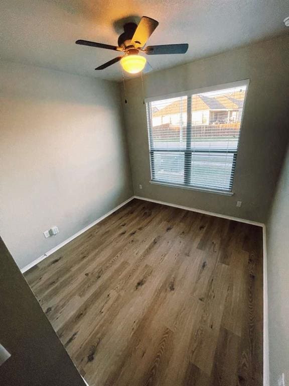 Building Photo - 321 Parrot Tulip View