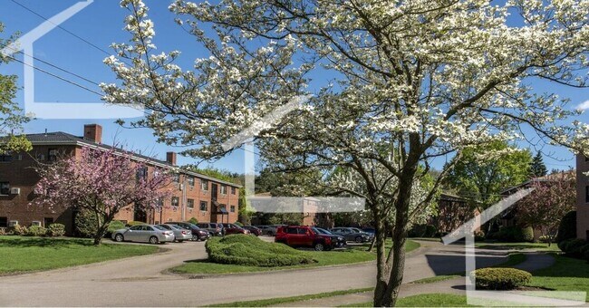 Building Photo - 268 Grove St