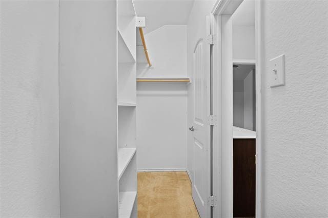 Building Photo - 1313 Honeywood Ln