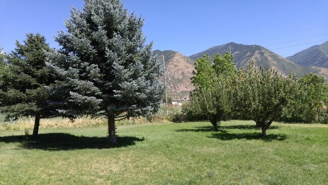Building Photo - 3 bedroom 1 bath home in south Spanish Fork