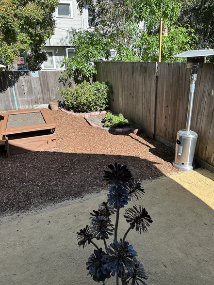 Backyard - 1901 6th St