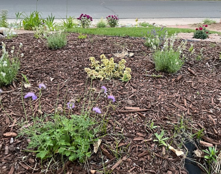 Building Photo - 1587 S Garrison St