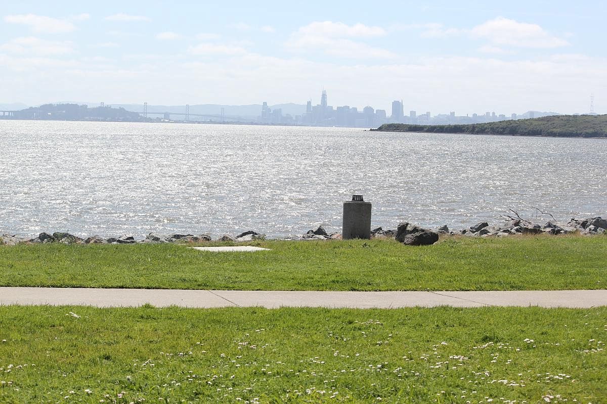 Building Photo - 8 Shoreline Ct