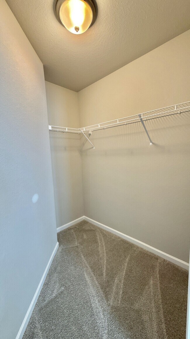 Building Photo - 764 Wood Sorrel Ln