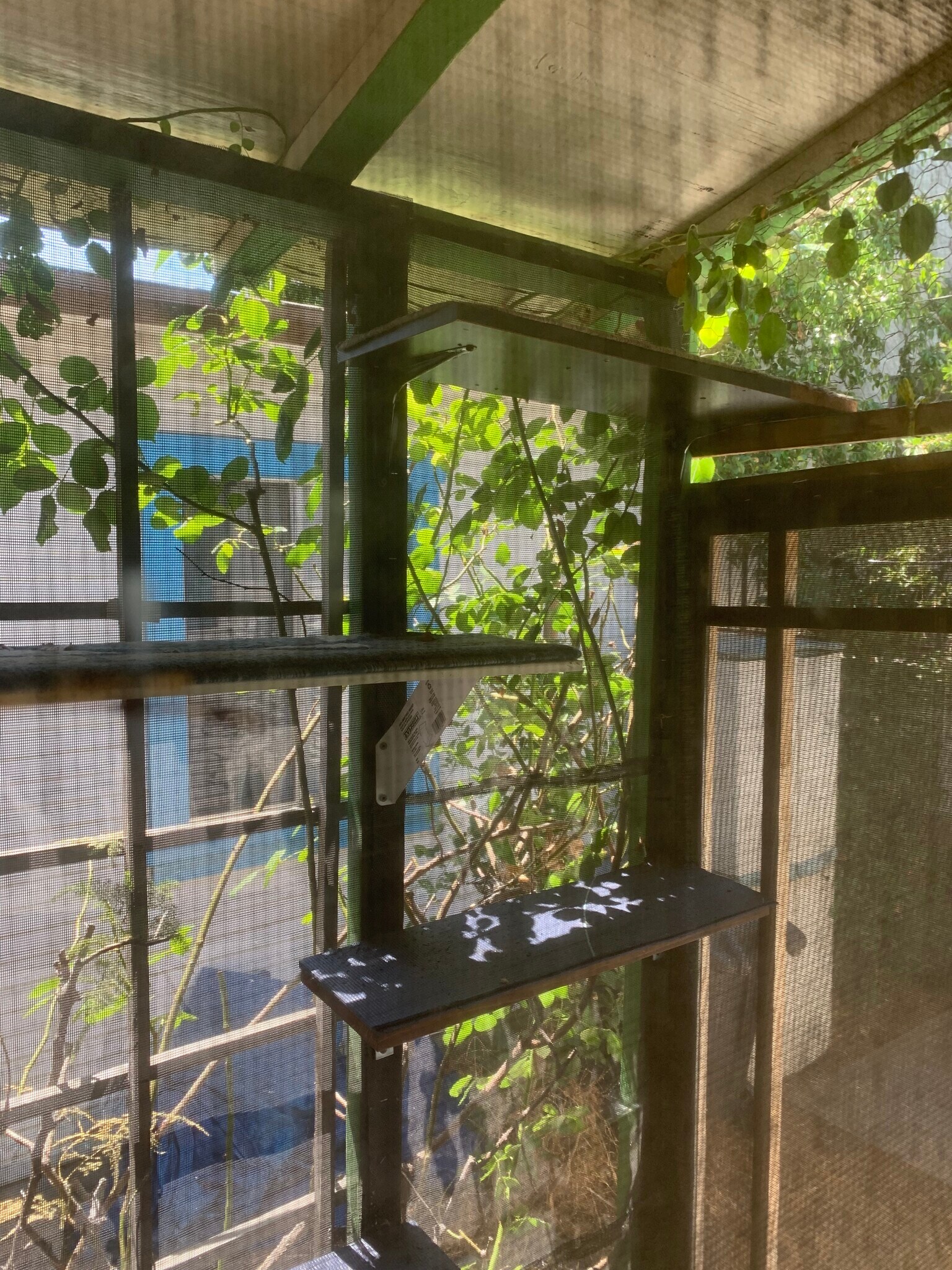 Building Photo - 608 E Angeleno Ave