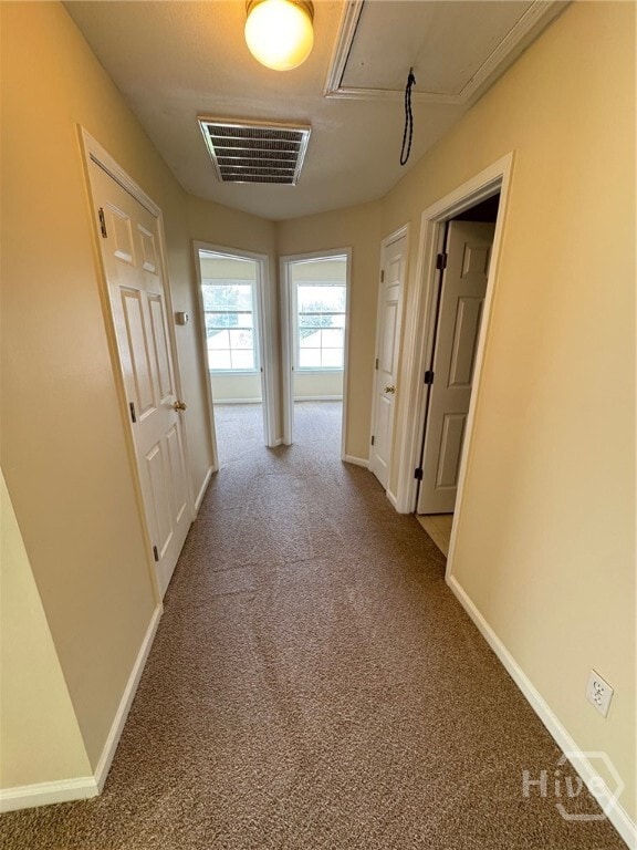 Building Photo - 45 Godley Park Wy