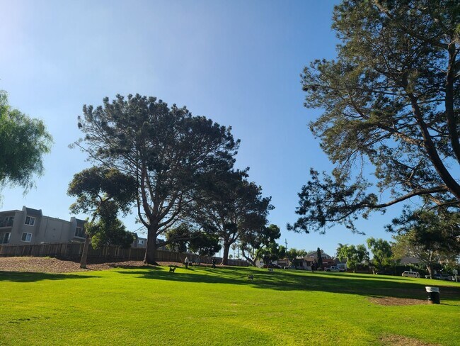 Building Photo - Spacious Ocean Beach 2 bed 1 bath just a f...