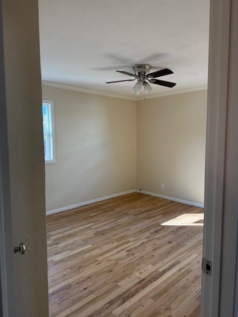 Building Photo - 1590 Hall Ave