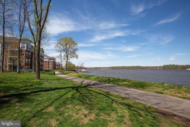 Building Photo - 830 Belmont Bay Dr