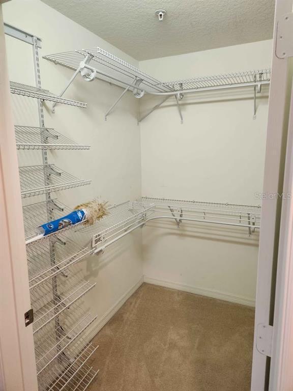 Building Photo - 4005 Overture Cir