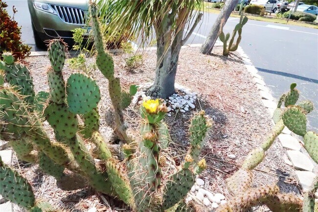 Building Photo - 4109 Lake Bayshore Dr