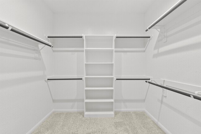 Building Photo - 3109 Cloud Forest Ln