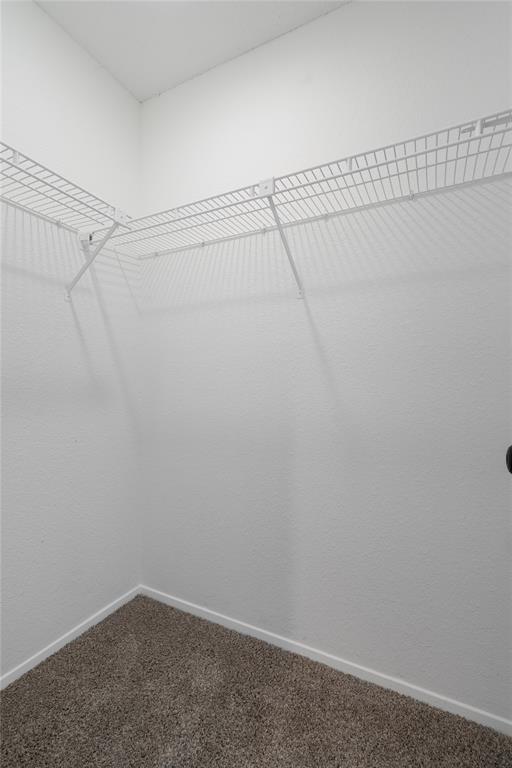 Building Photo - 2909 W Slaughter Ln