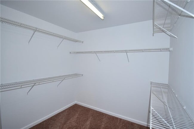 Building Photo - 3049 Hartright Bend Ct