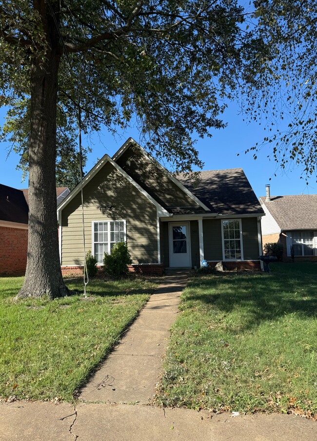 Building Photo - 5411 Jackson Cove