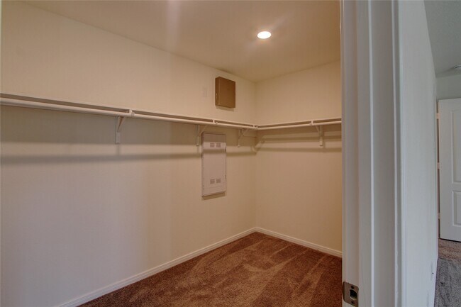 Building Photo - 4006 Shady Palmetto Dr
