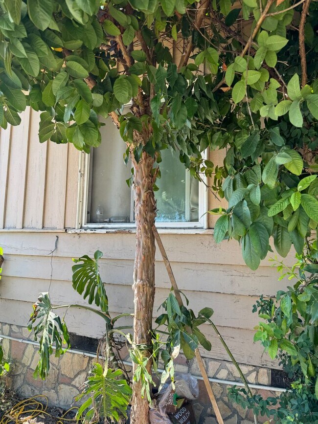 Building Photo - La Habra Duplex