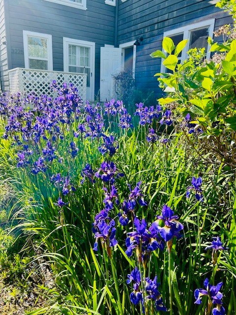 Building Photo - 3225 SW 12th Ave