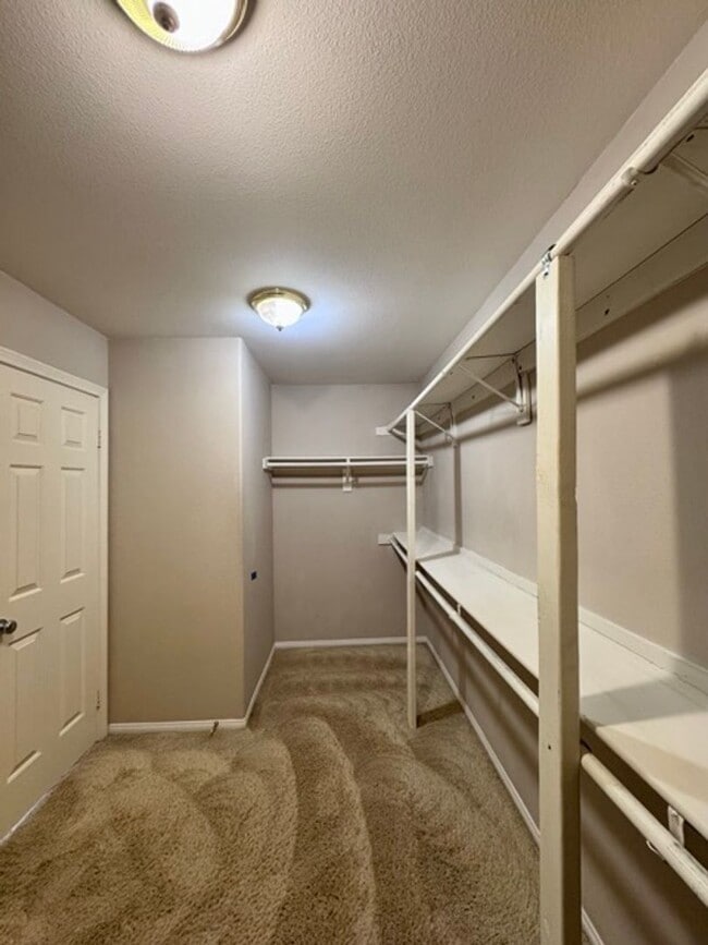 Building Photo - Beautiful 4 bedroom Temecula home sitting ...