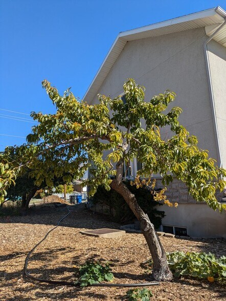 Building Photo - 3636 S 1300 E