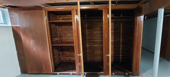 Cedar storage closets - in basement - 505 S Ridgeway Ave