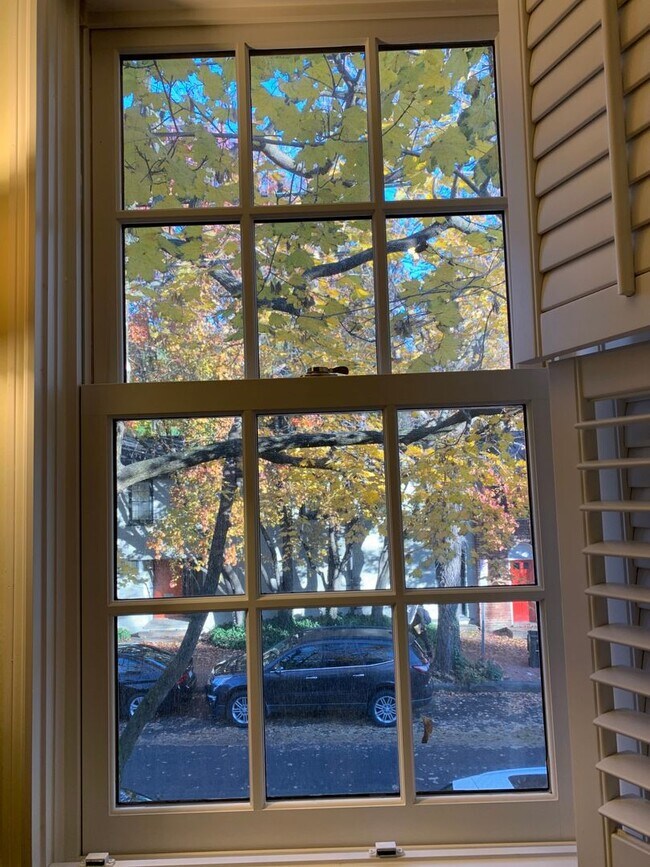 Building Photo - Rare Georgetown Townouse with private yard - 1 block from Rose Park / M St