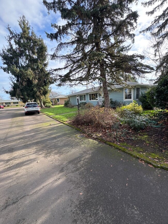 Building Photo - Spacious 2 Bedroom 1 Bath Duplex in Park-Like Setting - Pets Welcome