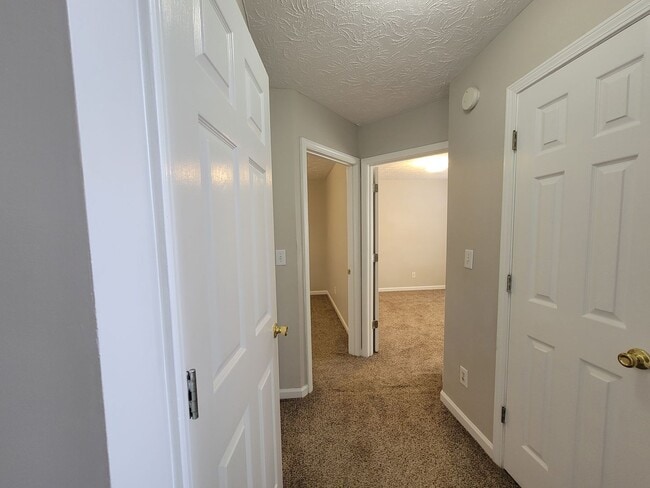 Building Photo - Gorgeous Split-Level 2 Story Home New Paint