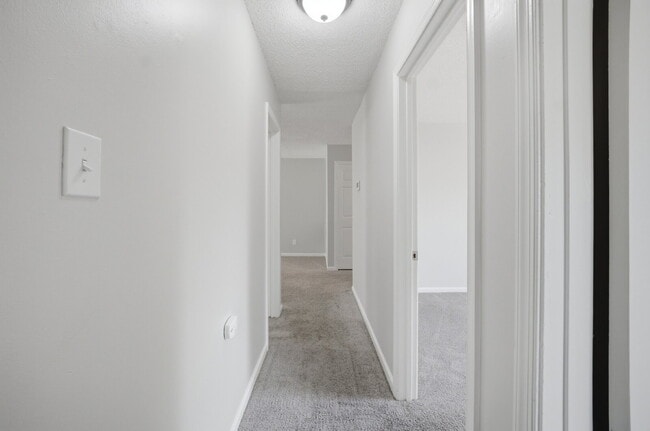 Building Photo - 3 BEDROOM RANCH HOME WITH GARAGE FOR RENT IN CENTRAL VIRGINIA BEACH!