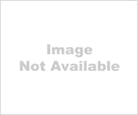 Building Photo - 11 Tennyson Rd