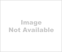 Building Photo - 7688 US-80