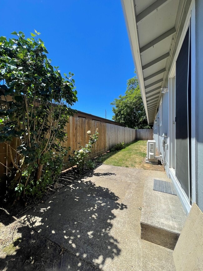 backyard - 2142 Rhodora St