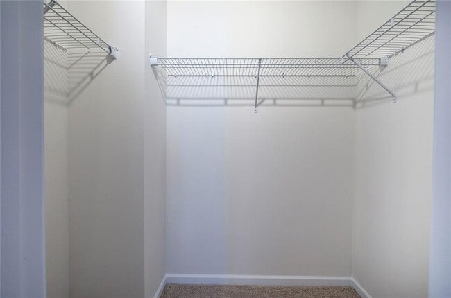 Building Photo - 503 Ozark Ln