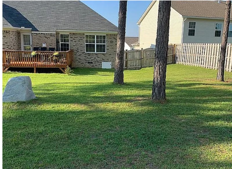 Building Photo - 684 Gladiolus Dr